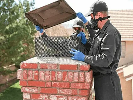 Where Can I Get Same-Day Chimney Inspections in Edgewater, MD?