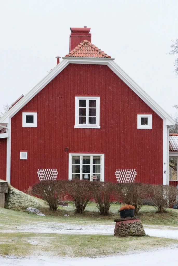 Residential chimney inspection service