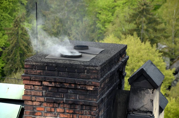 Expert Chimney Inspection Services in Edgewater, MD